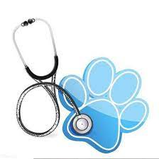 محصولات دامپزشکی