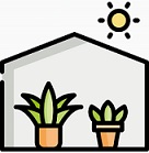 گلهای آپارتمانی