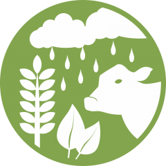 دامپزشکی، دام و طیور و کشاورزی