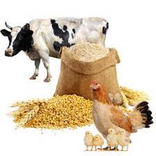 نهاده ها و ملزومات دام و طیور